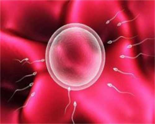 天津专业代孕专家，2023天津民间借卵试管机构名单揭晓！这几家机构技术专业